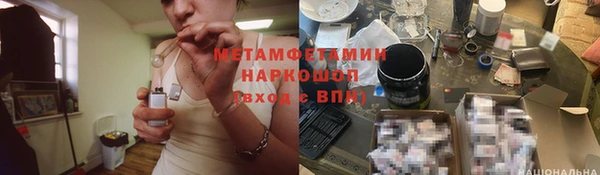сатива Приозерск