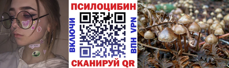 Псилоцибиновые грибы мицелий  kraken ССЫЛКА  Агрыз  купить  цена 